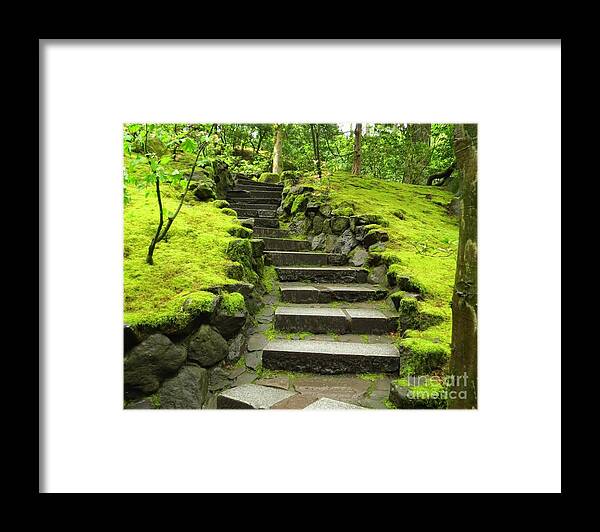 Stone Steps Framed Print featuring the photograph Steps to Serenity by Anita Adams