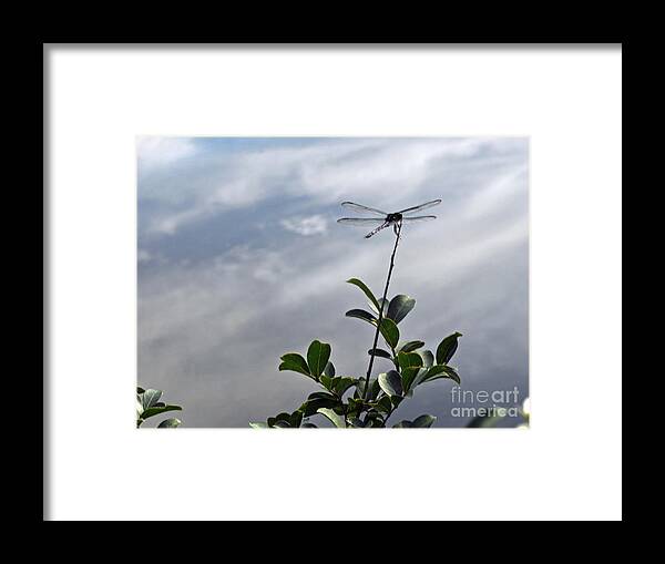 Dragonfly Framed Print featuring the painting Stick in da Mud by Amanda Sanford