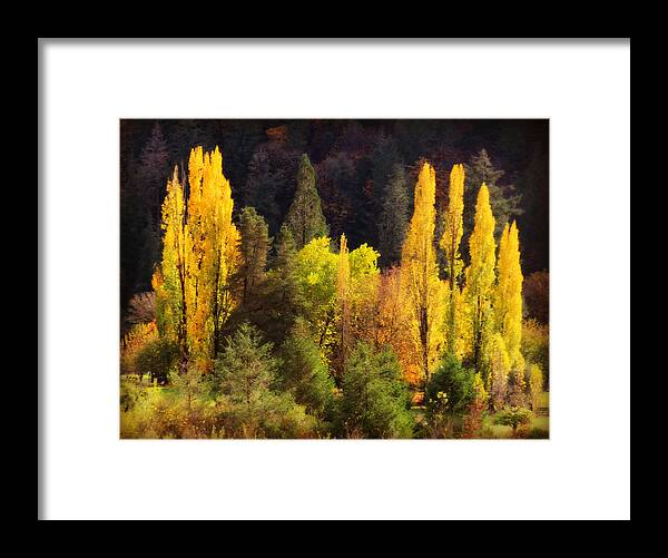 Nature Framed Print featuring the photograph Still Golden by KATIE Vigil
