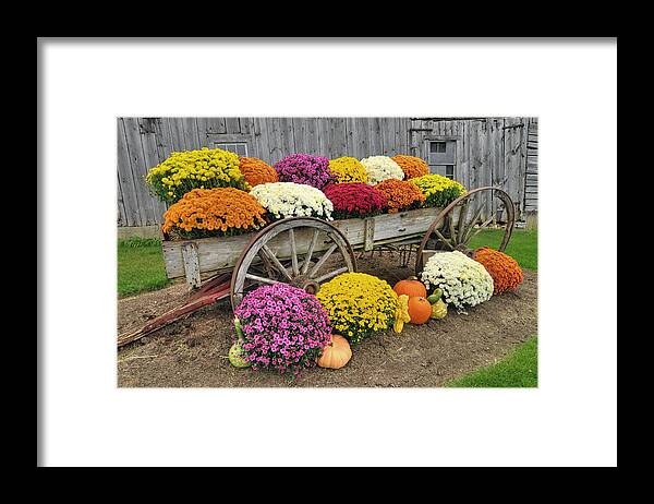 Autumn Framed Print featuring the photograph Autumn Display by Dan Myers