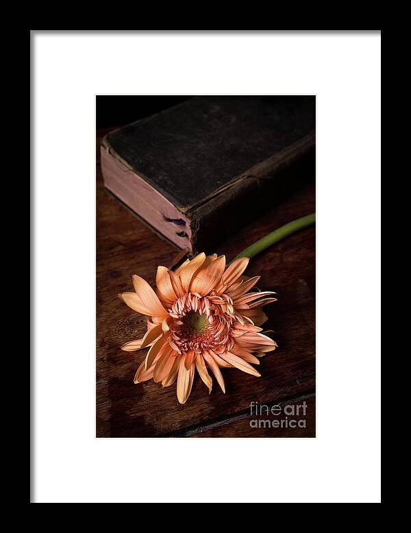 Flowers Framed Print featuring the photograph Still life with orange flower and old Bible by Edward Fielding