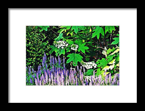 Lavender Framed Print featuring the photograph Stillness in the Garden  by Sarah Loft