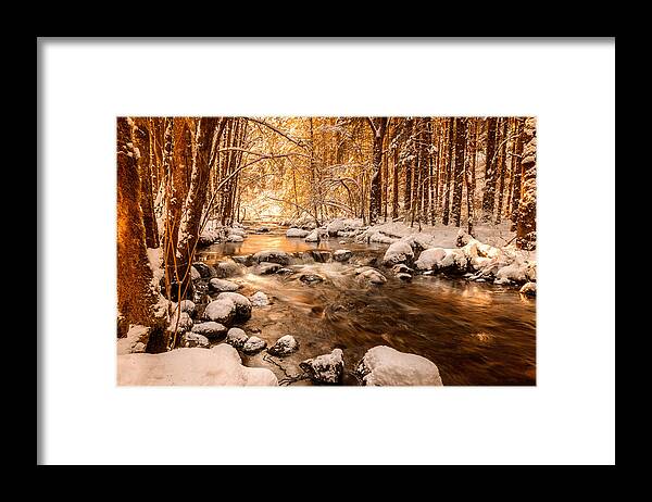 Forest Framed Print featuring the photograph Stolen Beauty by Philippe Sainte-Laudy