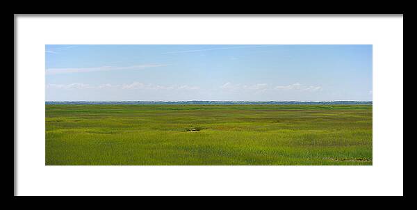 Richard Reeve Framed Print featuring the photograph Stone Harbor Wetlands by Richard Reeve