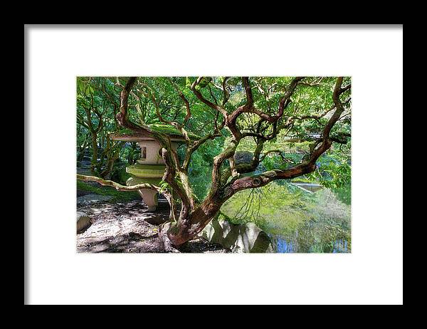 Upper Framed Print featuring the photograph Stone Lantern by Upper Pond by David Gn