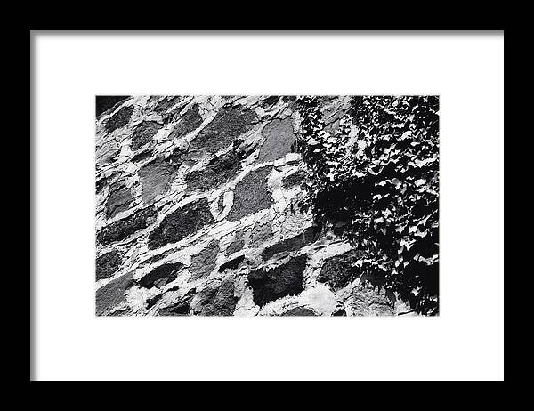 Texture Framed Print featuring the photograph Stone Wall with Ivy by Steven Huszar