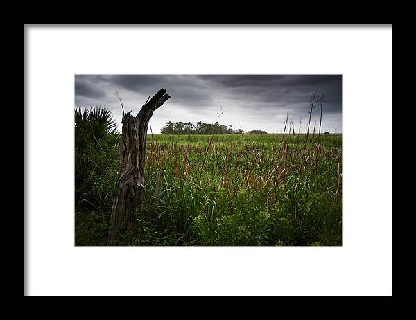 Marsh Framed Print featuring the photograph Storm clouds over marsh by John Simmons