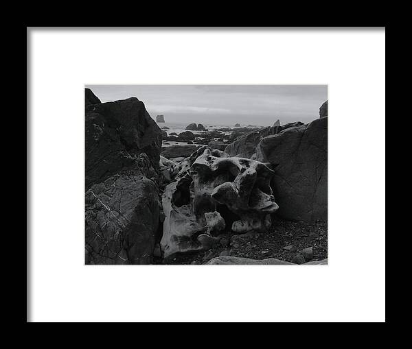 Nature Framed Print featuring the photograph Stranded by Vincent Green