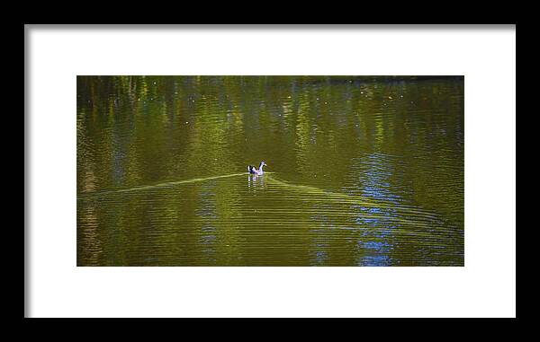 Strange Framed Print featuring the photograph Strange #h8 by Leif Sohlman