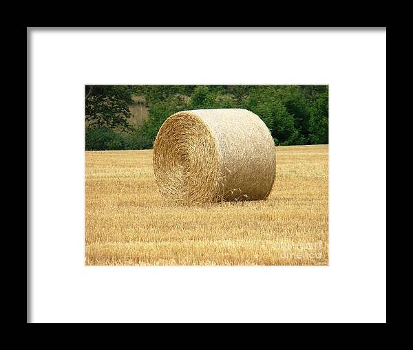 Seasonal Framed Print featuring the photograph Straw Bale by Margaret Hamilton