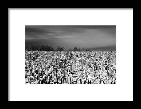  Framed Print featuring the photograph Straw fields by Brian Sereda