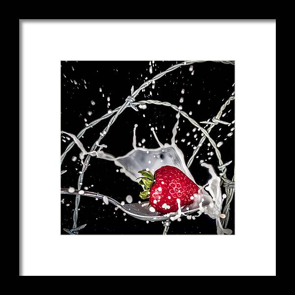 Strawberry Framed Print featuring the photograph Strawberry Extreme Sports by TC Morgan