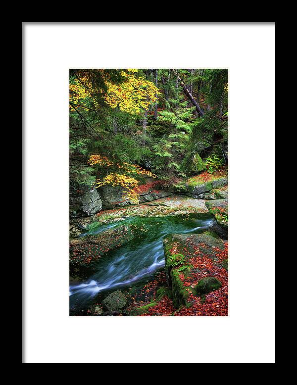 Stream Framed Print featuring the photograph Stream in Autumn Forest of Karkonosze Mountains by Artur Bogacki