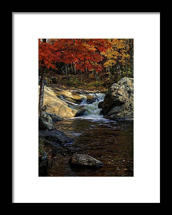 Autumn Framed Print featuring the photograph Stream In Autumn No.17 by Mark Myhaver