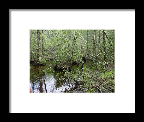 Stream Framed Print featuring the photograph Stream in the Forest by Quwatha Valentine