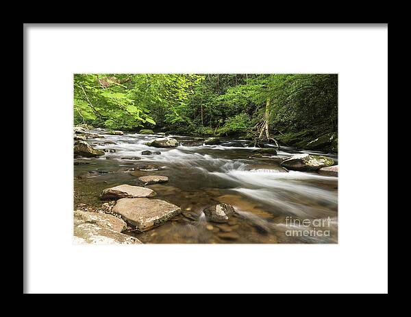 Water Framed Print featuring the photograph Stream in the Smokies by Nicki McManus