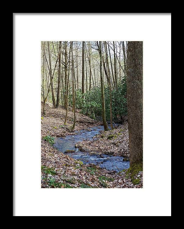 Stream Framed Print featuring the photograph Stream in the Winter Woods by Denise Romano