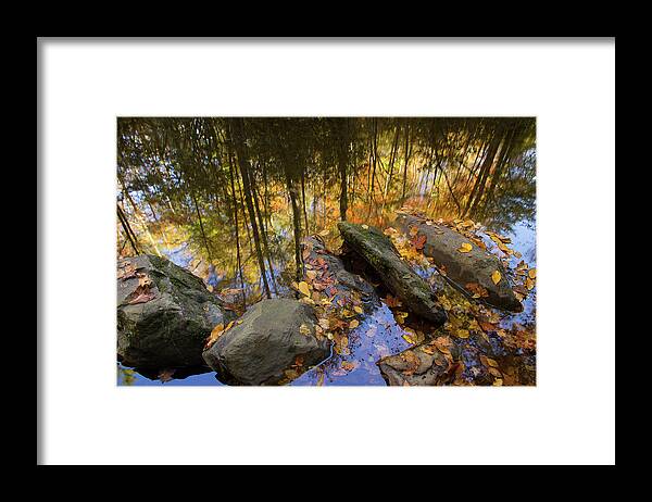 Autumn Stream Framed Print featuring the photograph Stream Side Reflections by Mike Eingle