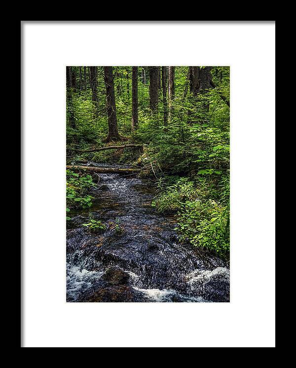  Framed Print featuring the photograph Streaming by Kendall McKernon
