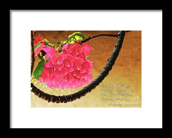 Flowers Framed Print featuring the digital art Strength and Peace by Sherry Curry