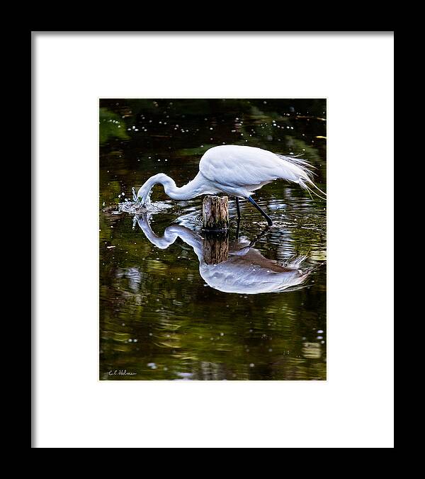 Art Framed Print featuring the photograph Strike by Christopher Holmes