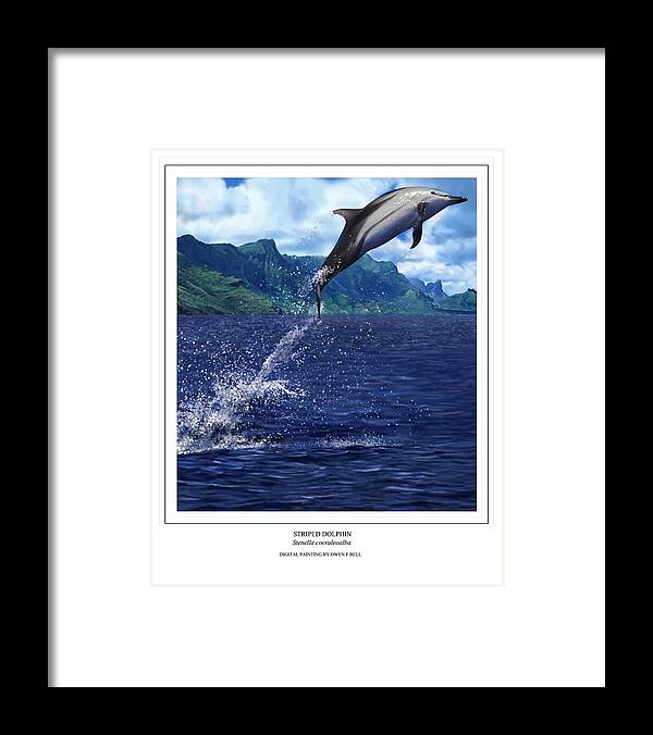 Dolphin Framed Print featuring the digital art Striped Dolphin by Owen Bell