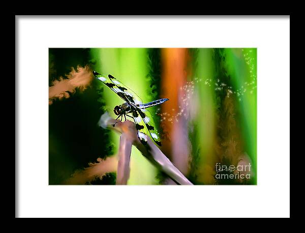 Dragonfly Framed Print featuring the photograph Striped Dragonfly by Lisa Redfern