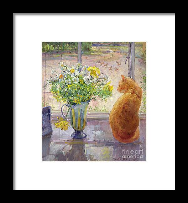 Ginger; Cat; Vase; Narcissi; Chicken; Pheasants Eye; Flower; Flowers ; Window; Open Window; Pheasant Framed Print featuring the painting Striped Jug with Spring Flowers by Timothy Easton
