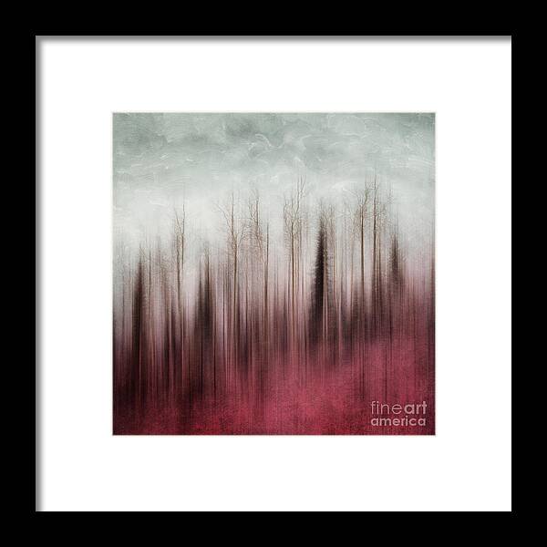 Trees Framed Print featuring the photograph Stripped to the Soul by Priska Wettstein