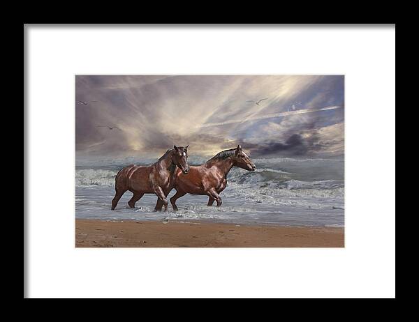 Horse Framed Print featuring the photograph Strolling on the Beach by Michele A Loftus
