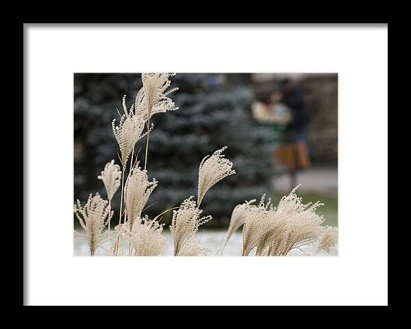 Ex Grass Framed Print featuring the photograph Structures 1 by Adrian Bud