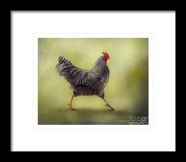 Rooster Framed Print featuring the photograph Strutting that Stuff by Kathy Russell