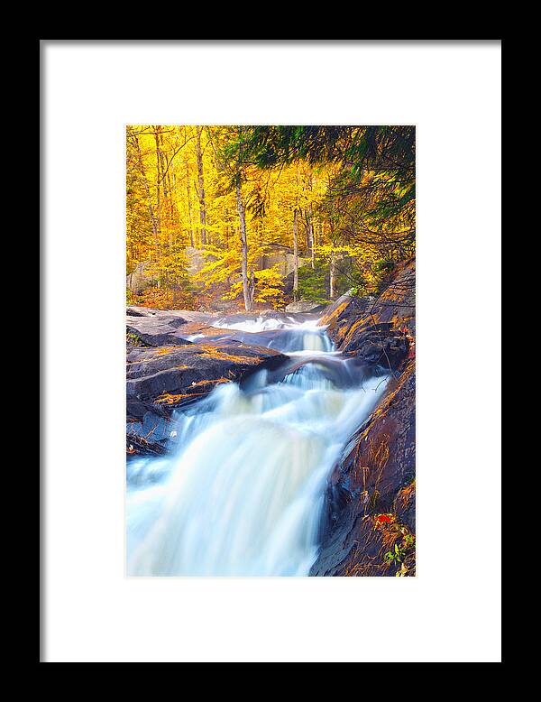 Arrowhead Provincial Park Framed Print featuring the photograph Stubbs Falls I by John Bartosik