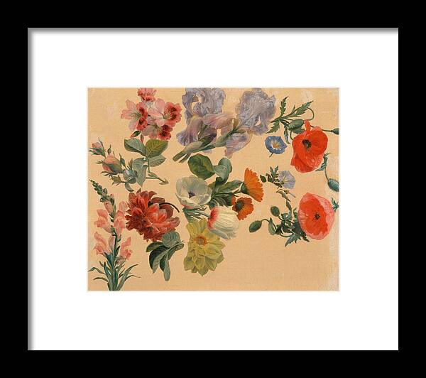Jacques-laurent Agasse Framed Print featuring the painting Studies of Summer Flowers by Jacques-Laurent Agasse