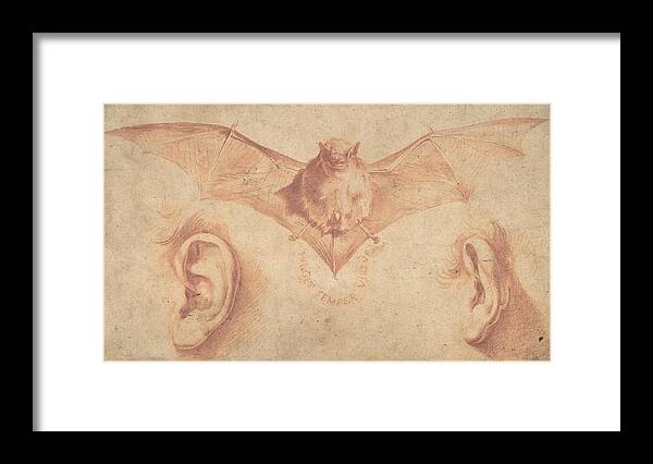 17th Century Art Framed Print featuring the drawing Studies of Two Ears and of a Bat by Jusepe de Ribera