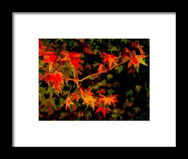 Graphic Framed Print featuring the photograph Study In Orange And Green by Susan Eileen Evans