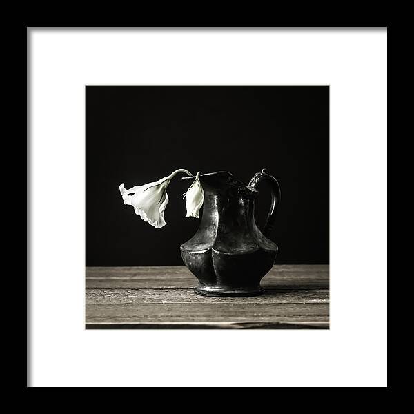 White Flower Framed Print featuring the photograph Study of Light by Kim Hojnacki