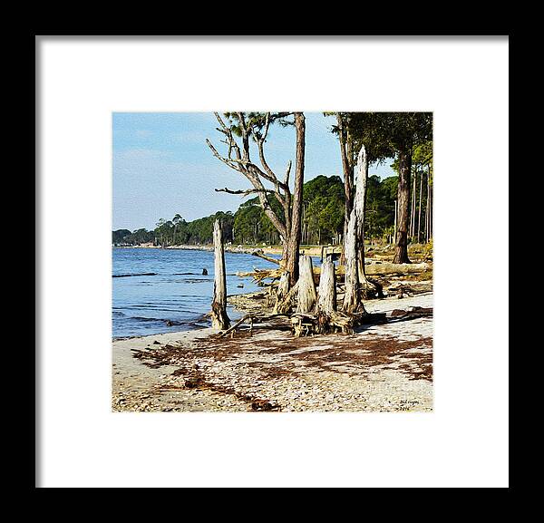 Art Framed Print featuring the painting Stump Beach by DB Hayes
