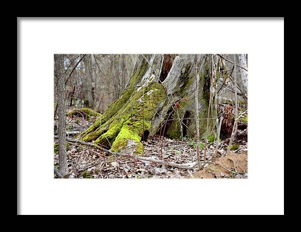 Moss Framed Print featuring the photograph Stump With Moss by Sean Seal