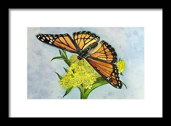 Butterfly Framed Print featuring the painting Stunning Sunning by Sonja Jones