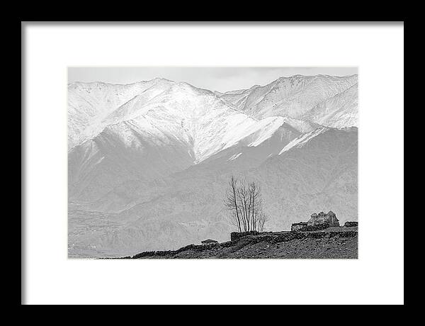 Buddhist Framed Print featuring the photograph Stupa and Trees by Hitendra SINKAR