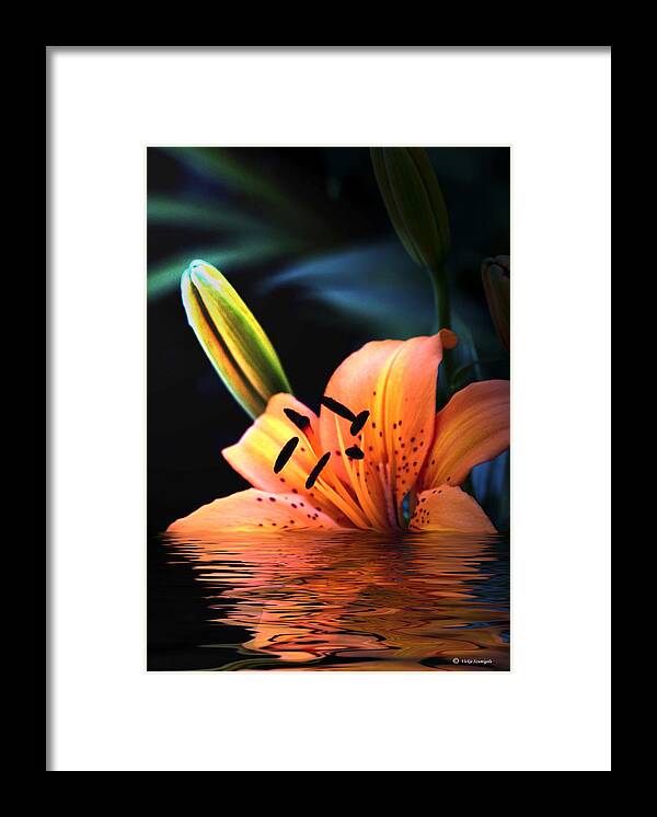 Lily Framed Print featuring the photograph Submerged by Vickie Szumigala