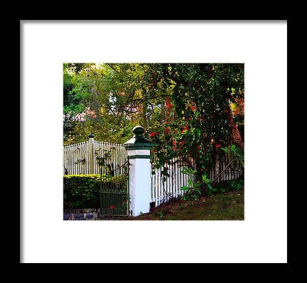  Gate Framed Print featuring the photograph Subtropical Queensland by Susan Vineyard