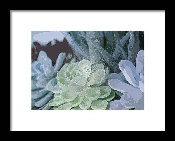Century Plant Framed Print featuring the photograph Succulents 2 by Linda Dunn