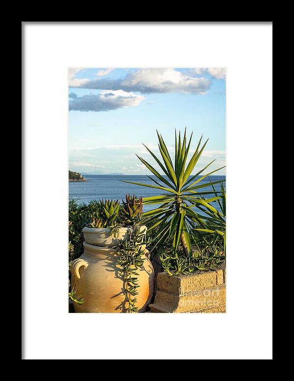 Succulents By The Sea Framed Print featuring the photograph Succulents by the Sea by Prints of Italy
