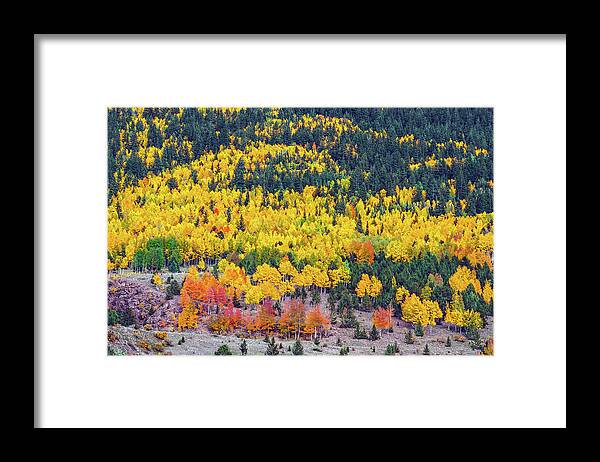 Fall Colors Framed Print featuring the photograph Such A Majestic World To Photograph, So Little Time. Our Lives Are So Ephemeral. by Bijan Pirnia