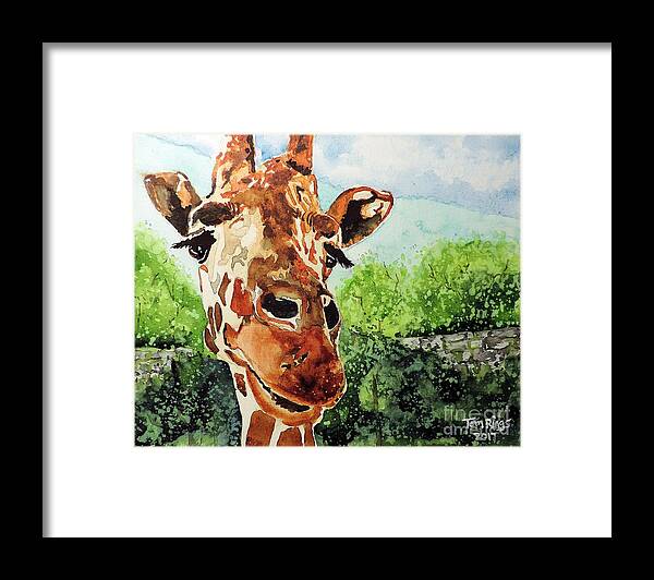 Giraffe Framed Print featuring the painting Such a Sweet Face by Tom Riggs