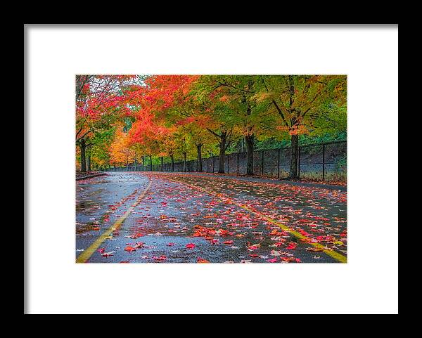 Maple Framed Print featuring the photograph Sugar Maple Drive by Ken Stanback