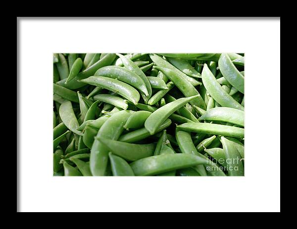 Sugar Snap Peas Framed Print featuring the photograph Sugar Snap Peas by Louise Heusinkveld