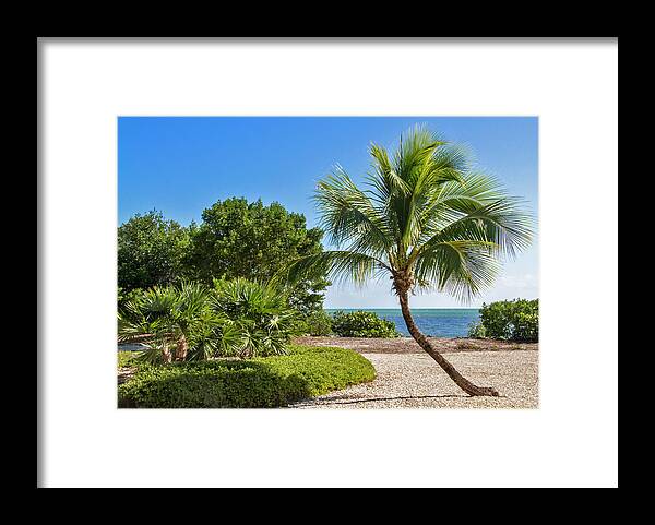 Paradise Framed Print featuring the photograph Sugarloaf Key Park by Bob Slitzan